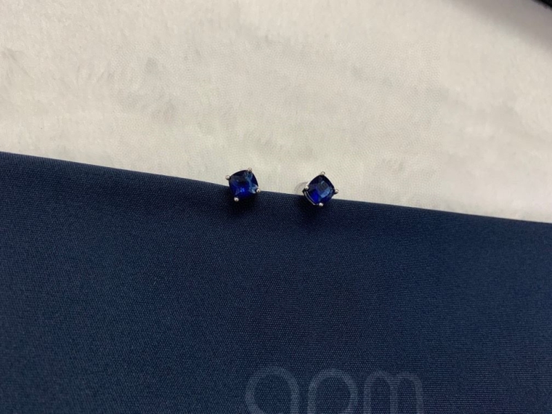 Apm Earrings